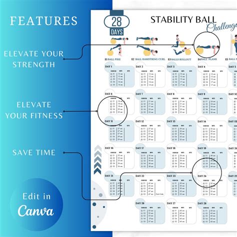 Image result for Stability Ball Challenge