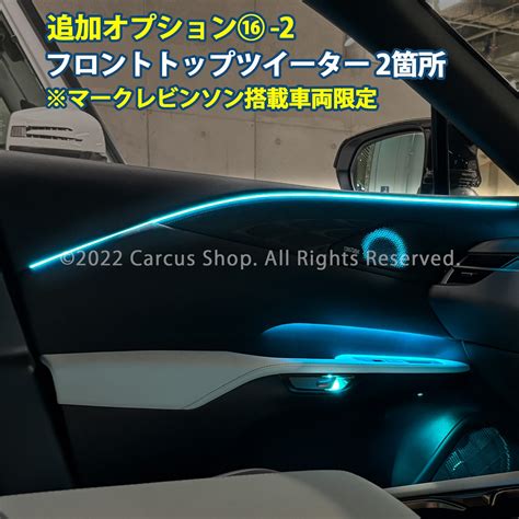 11月限定来店取付工賃込 レクサス RX30系用 64色対応車内アンビエントシステム基本セット LEXUS RX30系 RX500h ...