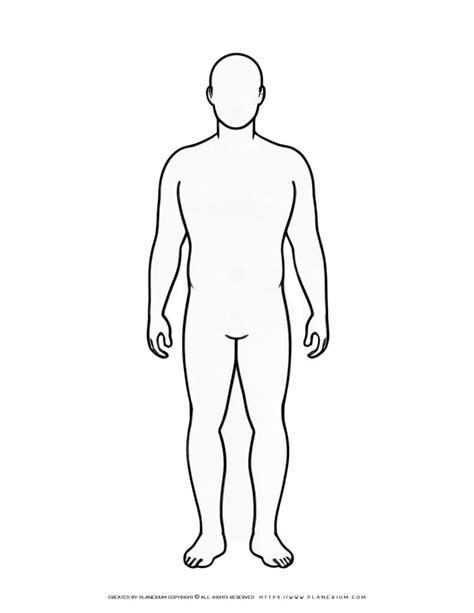 Versatile Male Body Outline Template for Educators