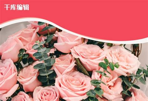 2018年中国玫瑰花产业链行业分析报告-市场运营态势与发展前景研究_观研报告网