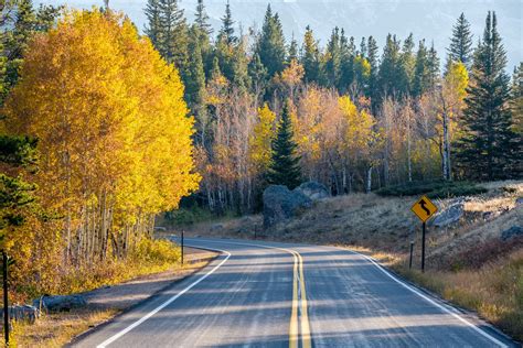 Seasonal Trends in Real Estate and How to Capitalize on Them ...