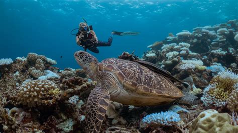 Diving Secrets Center | Course