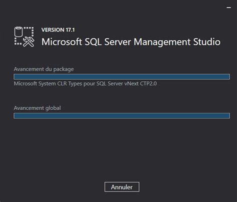 Comment Downloader SQL Pour Microsoft 的图像结果