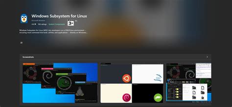 A Beginner's Guide to Kali Linux WSL