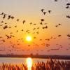 Mention any five features of the GNU Linux operatingsystem ...