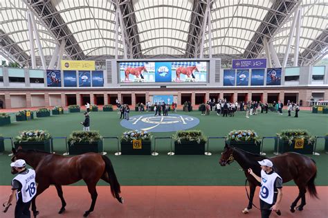 2025 Hong Kong International Sale horses breeze at Sha Tin – Racing ...
