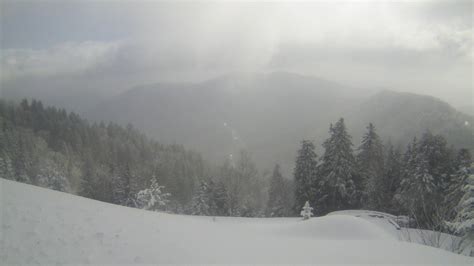 Newfound Gap Tn Weather