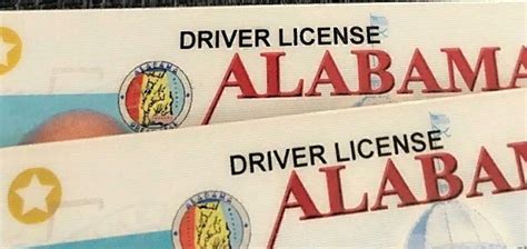 Alabama Drivers License 的图像结果