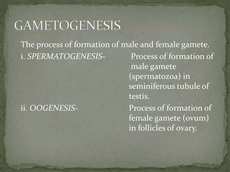 Conception Process Step by Step 的图像结果