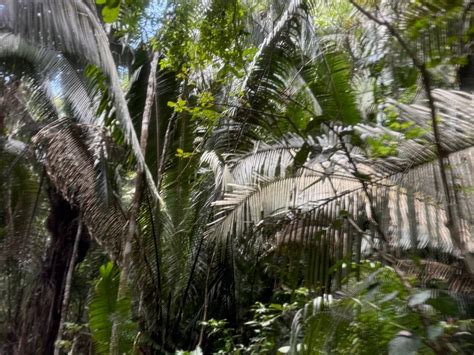 EPIC MAYAN TOURS (2026) All You SHOULD Know Before Going (with Photos)
