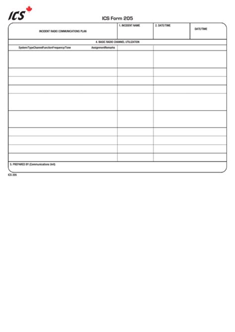 Image result for ICS Form 205