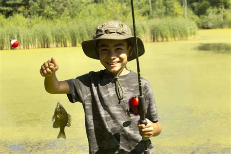 Junior Ranger: Pond Fishing, 3 August 2024 | AllEvents.in
