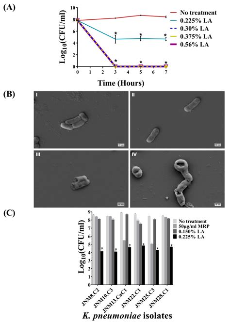 Bactericidal Activity of Lactic Acid against Clinical, Carbapenem ...