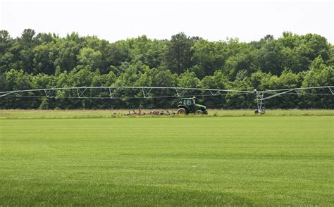 Tips for Watering New Sod - Quantico Creek Sod Farms