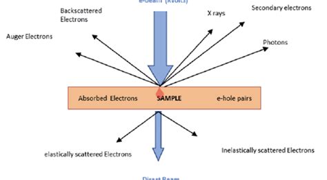 TEM vs SEM - Electron Microscopes - Advancing Materials