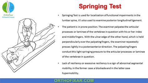 Spring Testing Spine 的图像结果