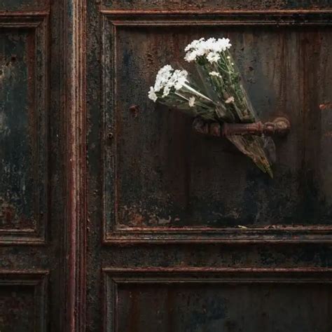 | Quotes & Writings by Aesthetic Thoughts | YourQuote