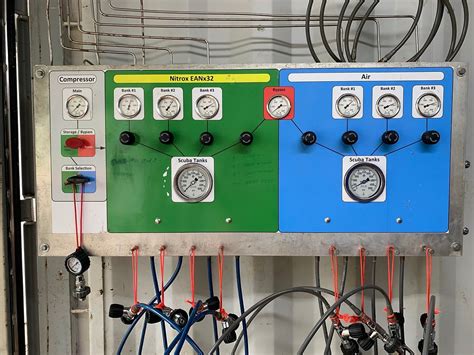 JOLLY ROGER DIVING (2026) All You Need to Know BEFORE You Go (with ...