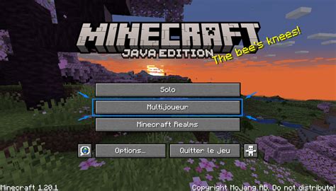 Est Ce Que Minecraft Java Et Sur Steam 的图像结果