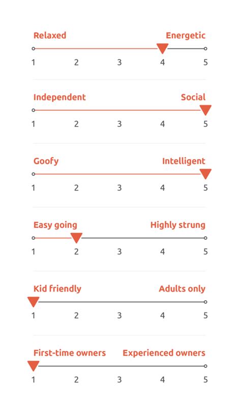 Image result for Cockapoo Temperament