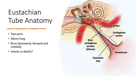 Eustachian tube dysfunction ENT presentation.pptx