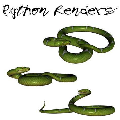 Image result for Slim Green Python