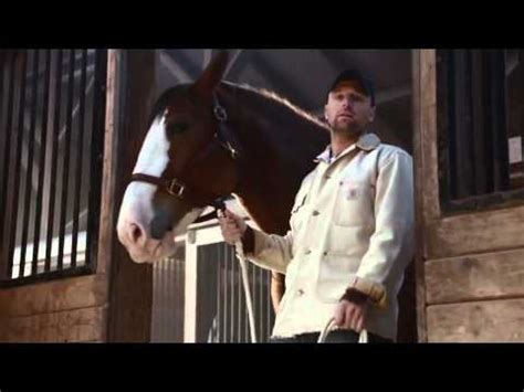 Budweiser Dog Commercial 的图像结果