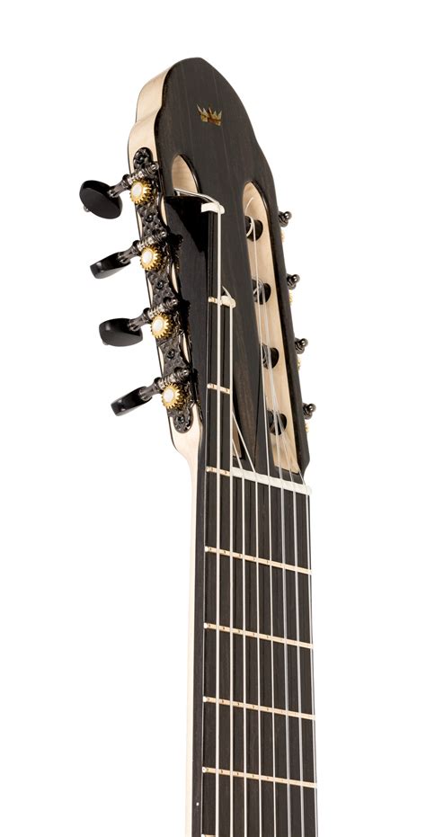 Image result for 8 String Classical