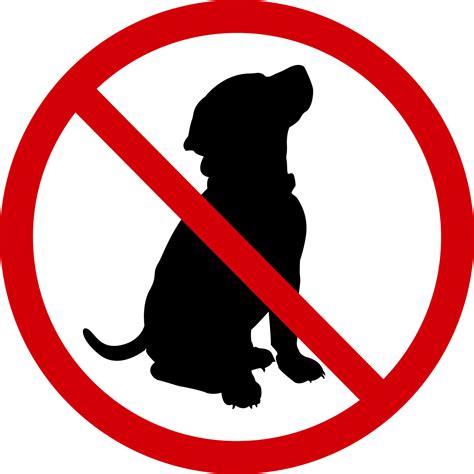 No Dogs Allowed