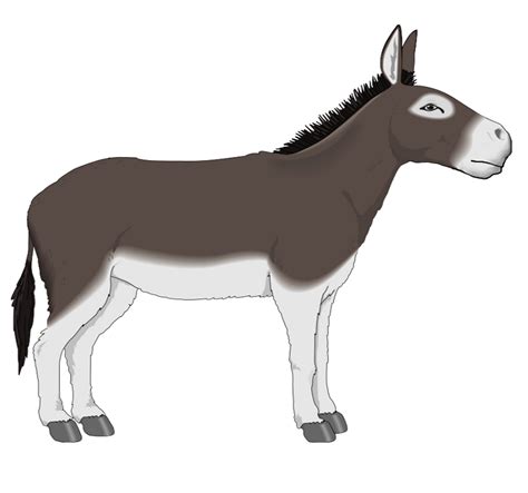 Free Donkey Clipart, Download Free Donkey Clipart png images, Free ...