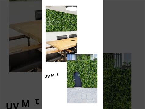 Artificial Green Wall - Vertical Green Wall Manufacturer from New Delhi