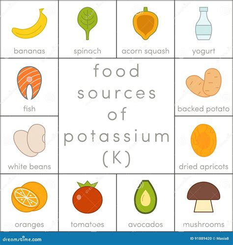Food sources of potassium stock illustration. Illustration of flat - 91889420