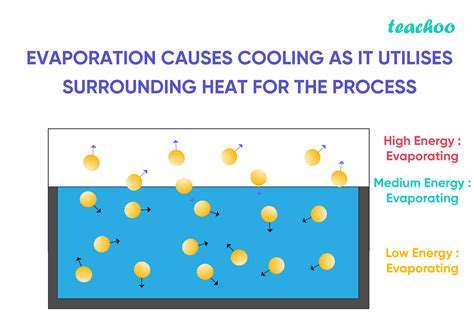 What Are The Evaporation Applications at Nancy Sheridan blog