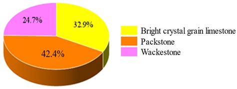Multi-Scale Characterization of Reservoir Space Features in Yueman Area ...