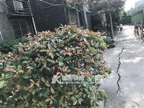 杭州1幢单元楼地面裂缝几十条 居民天天担惊受怕_手机新浪网