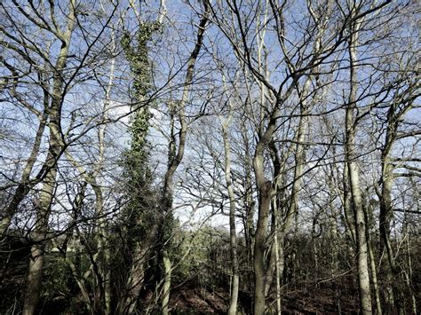 Image result for Lumix Tz80 Tutorial