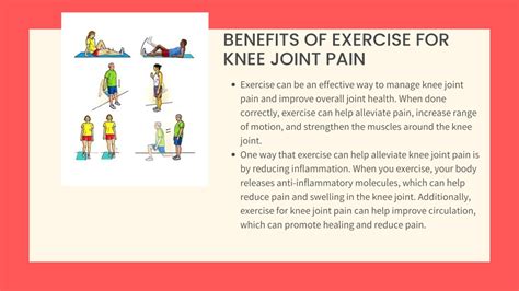 Knee Exercise 的图像结果