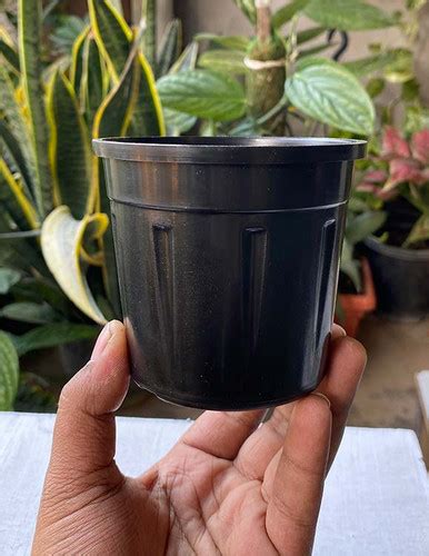 4 Inch Black Small Nursery Pots Set Of 15 Pots | Hope Nursery