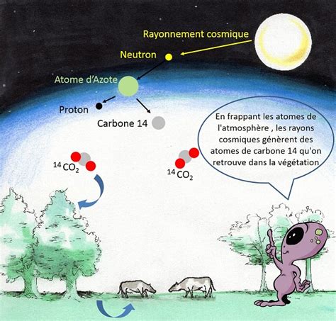 Image result for Quest Ce Que La Radioactivite