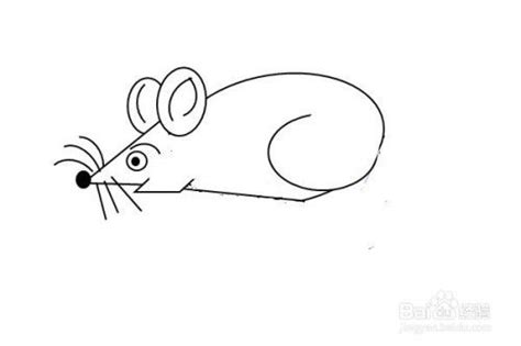 2老鼠创意简笔画 2020老鼠创意简笔画 | 抖兔教育