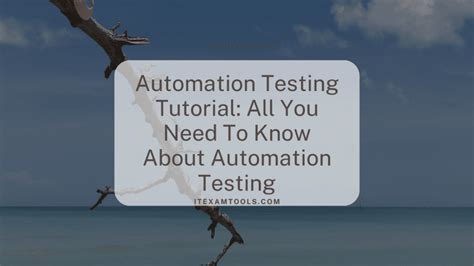 Automated Testing Tutorials 的图像结果