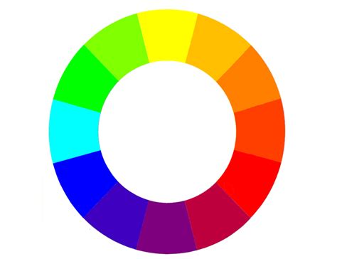 How to Color a Turtle 的图像结果