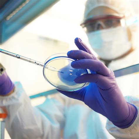 Kimtech® Purple Nitrile™ Exam Gloves (55081), Small Ambidextrous, 10 ...