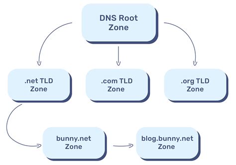 What Are Dns Zones Ttl Records? Bunny Net Create And Configure Concepts ...