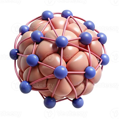 Image result for Brain Complex Network