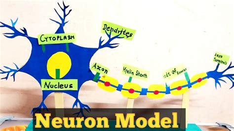 Image result for Neuron Project with Thread