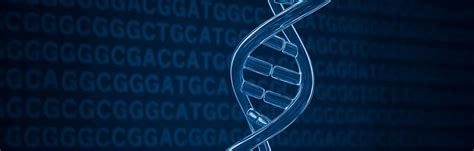 Next-Gen Sequencing 的图像结果