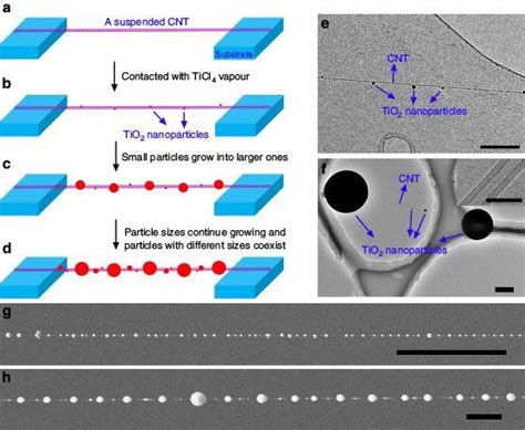 What is the best visualization of carbon nanotubes? - Brainly.in