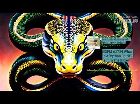 Image result for Spirit of Python Bible