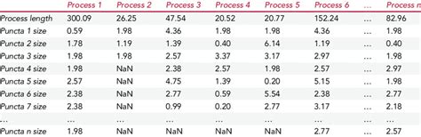 How to Display Result in Matlab Code 的图像结果